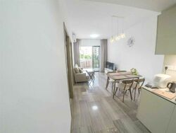 Lakeville (D22), Condominium #556166141